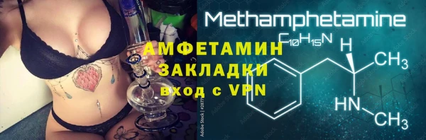 мдпв Ладушкин