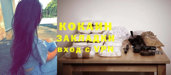 мдпв Ладушкин