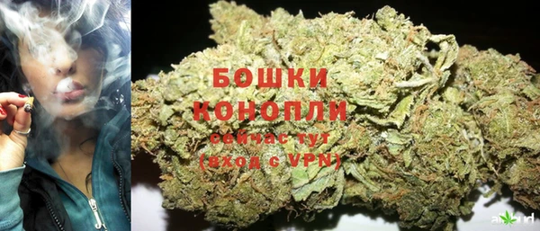 индика Лиски