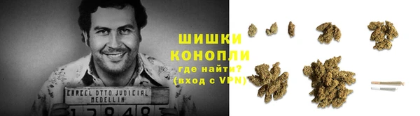 мдпв Ладушкин
