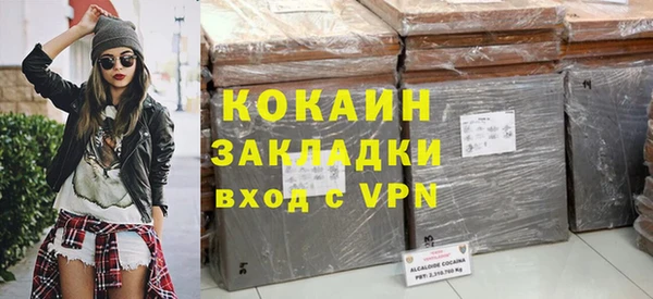 мдпв Ладушкин