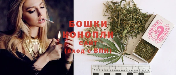 индика Лиски