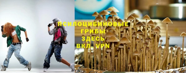 твердый Лагань