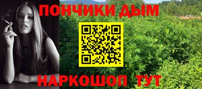 скорость Гатчина