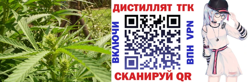 ТГК вейп  где купить наркоту  Павловский Посад 
