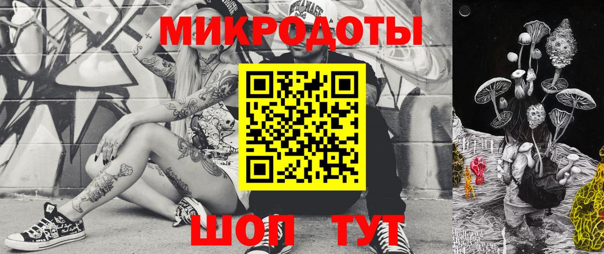 Псилоцибиновые грибы Psilocybe Павловский Посад