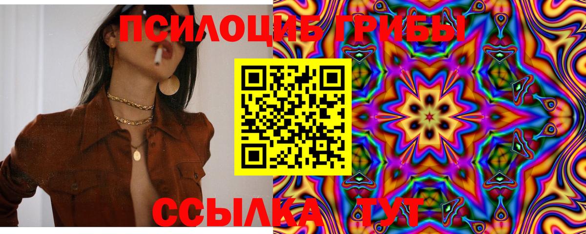 где купить наркотик  Галлюциногенные грибы мухоморы  Вход с VPN  Павловский Посад 
