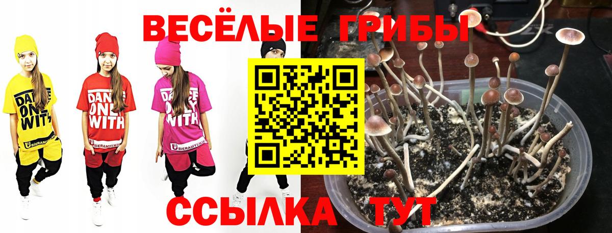 Павловский Посад  Вход с VPN  Меф   Конопля 